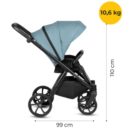 KidznBaby Stroller