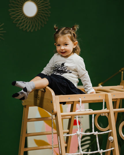 kids climbing frame with slide and swing