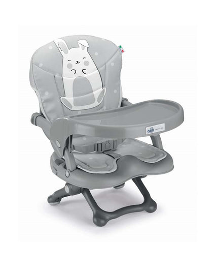 Removable tray booster chair