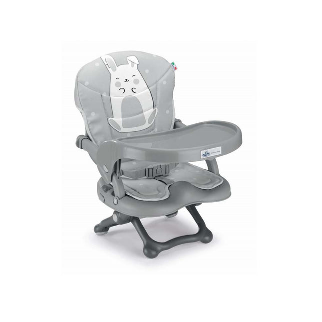 Removable tray booster chair