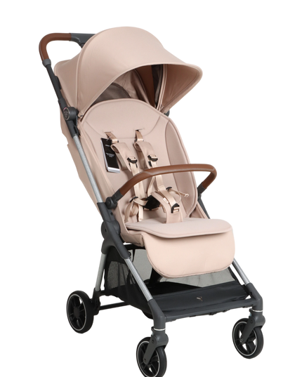 Cabin luggage stroller fit