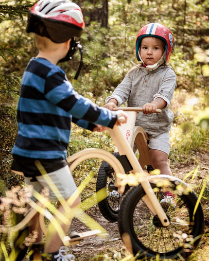 Bicicleta de equilíbrio 3 em 1 da Leg & Go | Para crianças de 1 a 5 anos
