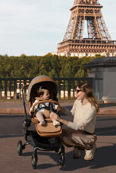 Mother and child enjoying the view of the Eiffel Tower with Mima Creo Stroller Mocha.