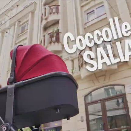 Coccolle Stroller SALLIARA 2 IN 1 Product Video
